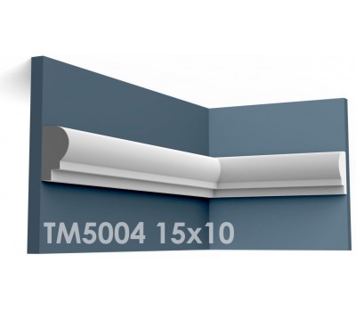  ТМ5004 молдинг из гипса АртМодуль h15х10мм